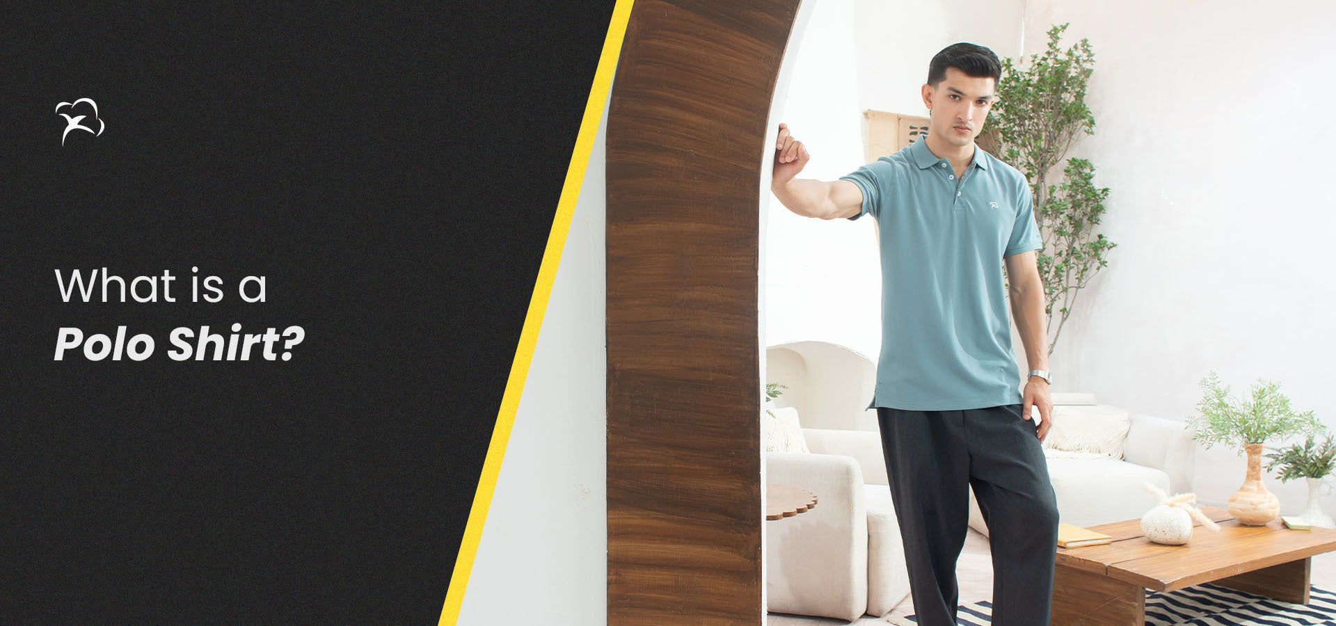 What Is A Polo Shirt