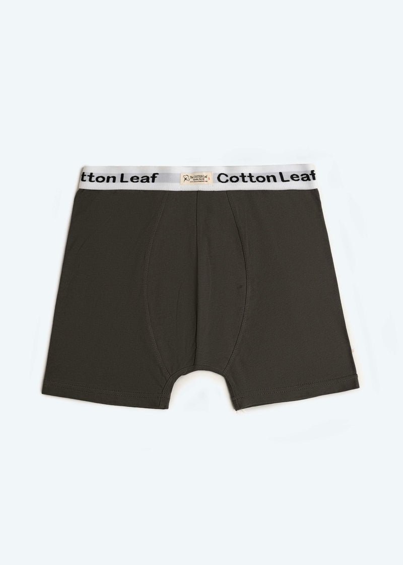 GREY BOXER BRIEF JERSEY LYCRA